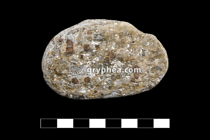 Micaschiste à grenats et muscovite (Ile de Groix) - échantillon - gryphea.com